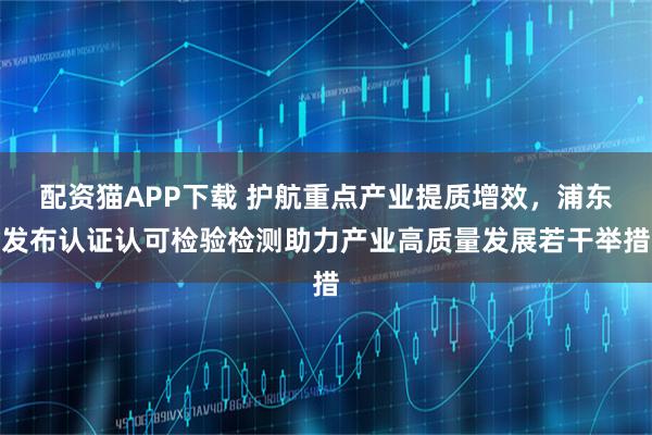 配资猫APP下载 护航重点产业提质增效，浦东发布认证认可检验检测助力产业高质量发展若干举措