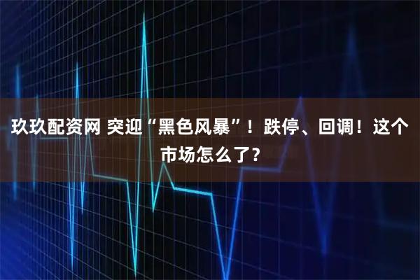 玖玖配资网 突迎“黑色风暴”！跌停、回调！这个市场怎么了？