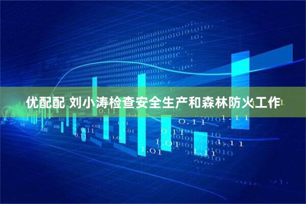 优配配 刘小涛检查安全生产和森林防火工作